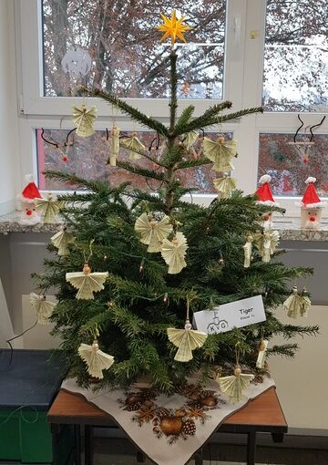 Ein Weihnachtsbaum für die ersten Klassen