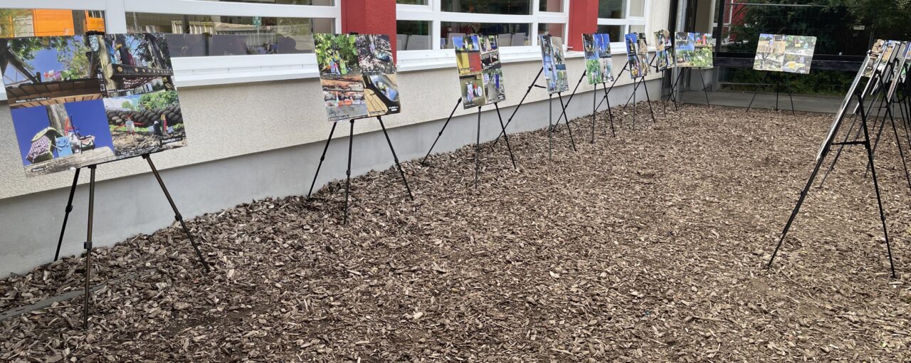 Kunstprojekt „Stille Freunde“ begeistert Schüler und Besucher